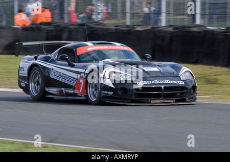 Dodge Viper Competition Coupe Sports Car in British GT Championship at Oulton Park Motor Race Circuit Cheshire England UK Stock Photo