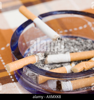 Still life of cigarettes in ashtray Stock Photo