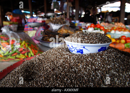 Peppercorn, Laos Stock Photo
