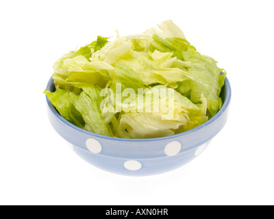 Bowl Of Chopped Fresh Healthy Iceberg Salad Lettuce Leaves Isolated Against A White Background with No People And A Clipping Path Stock Photo