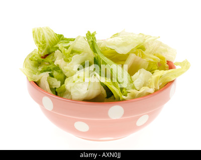 Bowl Of Chopped Fresh Healthy Iceberg Salad Lettuce Leaves Isolated Against A White Background with No People And A Clipping Path Stock Photo