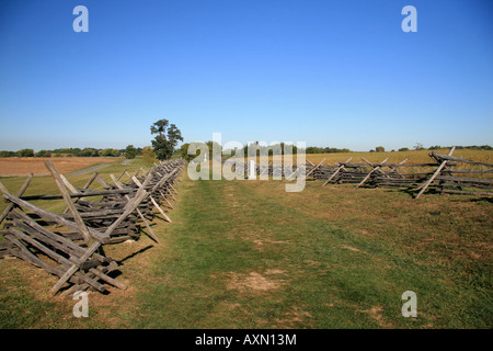 Looking North West Along The Sunken Road (bloody Lane) In The Antietam 