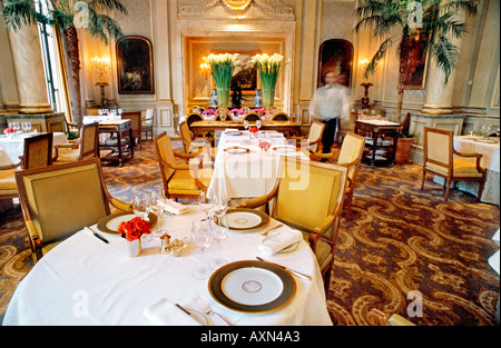 France Paris, Inside Fancy Dining, French Restaurant 'Le V' 'Le Cinq' Haute Cuisine, luxury design interior Hotel Four Seasons George V, european, Stock Photo