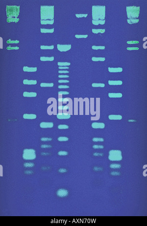 DNA sequence Stock Photo