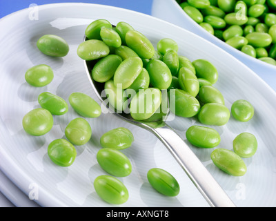 FRESH VEGETABLE SOYA BEANS Stock Photo