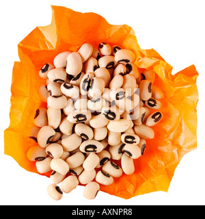 BLACK EYED BEANS  CUT OUT Stock Photo