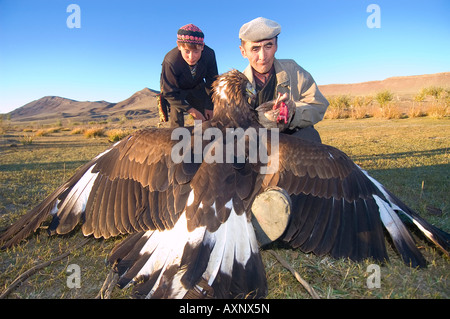 An eagle hunter trains his eagle and teaches his son the ancient Kazakh sport of eagle hunting Bayan Olgi Mongolia Stock Photo