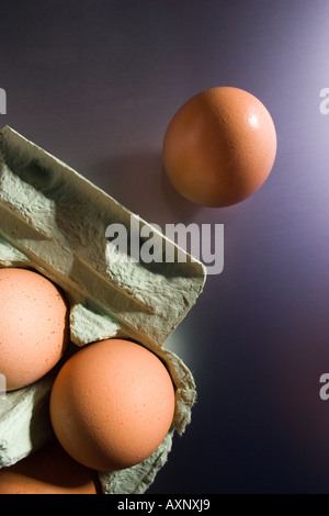 eggs in egg box Stock Photo