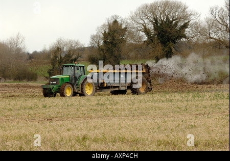 muck spreading in early spring. Chippenham, Cambs Stock Photo