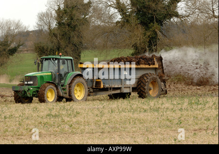 muck spreading in early spring. Chippenham, Cambs Stock Photo