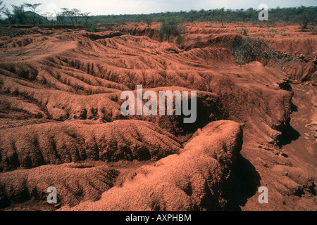 Serious soil erosion near Lake Baringo Northern Kenya Stock Photo