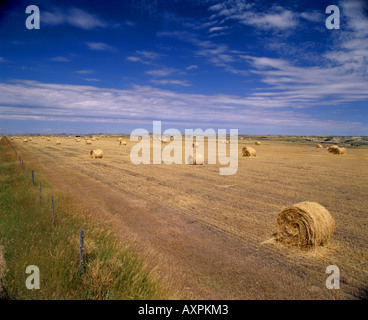 ROUND BALES OF WHEAT STRAW ON A PRAIRIE BENCH IN THE BADLANDS OF NORTH DAKOTA Stock Photo