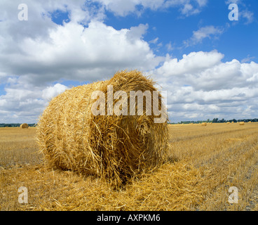 WHEAT STRAW IN ROUND BALES JUST AFTER HARVEST BILLOWY WHITE CLOUDS PASS OVERHEAD RED RIVER VALLEY NORTH DAKOTA Stock Photo