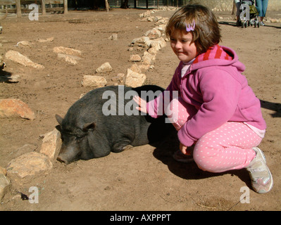 girl with Vietnamese Pot Bellied Pig, Vergel Safari Park, Vergel, Alicante Province, Spain Stock Photo