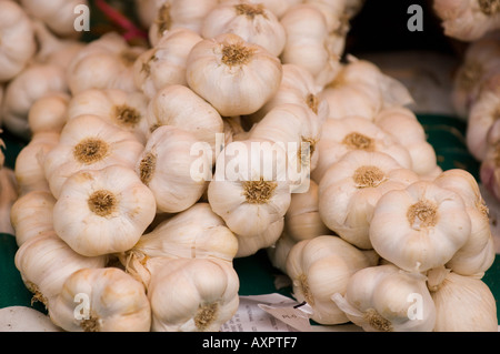 Stalks of fresh garlic at market Stock Photo