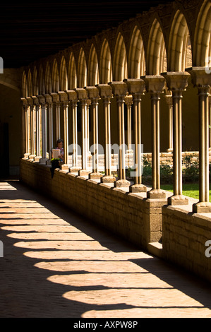 Monastir de Pedrelbes cloister Barcelona Catalunya Spain Stock Photo