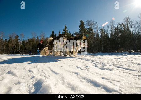 A MUSHER AND DOG TEAM MUSH THROUGH THE BOUNDARY WATERS CANOE AREA MINNESOTA Stock Photo