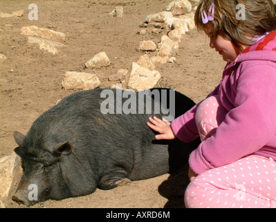 girl with Vietnamese Pot Bellied Pig, Vergel Safari Park, Vergel, Alicante Province, Spain Stock Photo