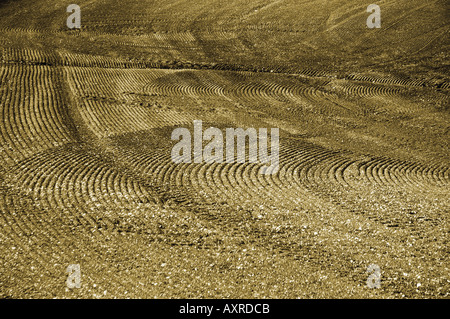 Patterns in the soil on a ploughed field late afternoon Stock Photo