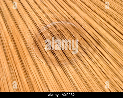 Sawing marks pattern on cut tree Stock Photo