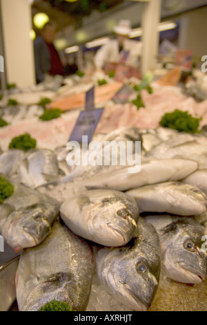 gilt head bream on display in the beresford street fish market St Helier Jersey Stock Photo