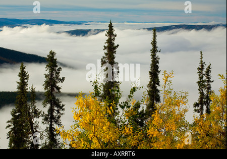 morning mist in the Yukon River Valley viewed from  the Top of the World Highway near Dawson City, Yukon Territory, Canada Stock Photo