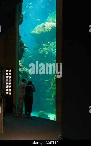 Visitors look into large display tanks filled with fish and aquatic animals at the Tennessee Aquarium in Chattanooga Tennessee USA Stock Photo