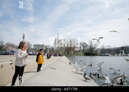 Children feeding seagulls and ducks in front of Capitol Building, Washington DC, USA Stock Photo