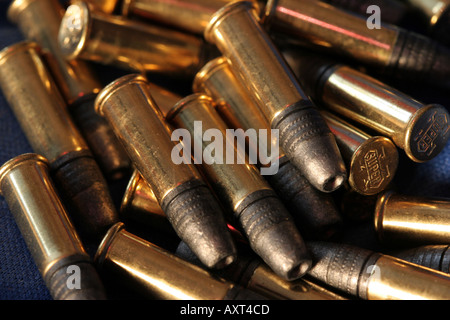 22 Bullets and a pile  Stock Photo