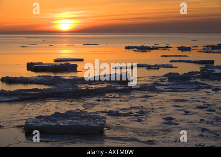 sunrise over sea ice, Gulf of St. Lawrence, Canada Stock Photo