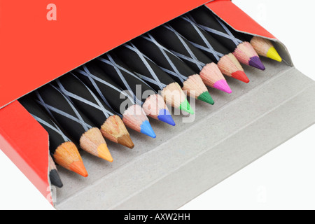 12 Color pencils in open box Stock Photo