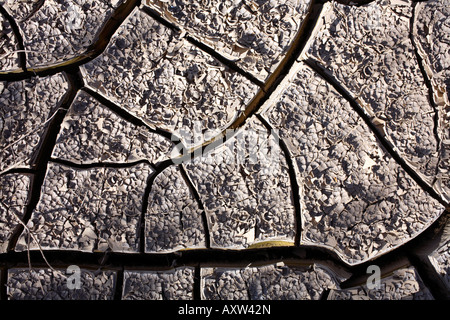 Cracks in dried mud Stock Photo