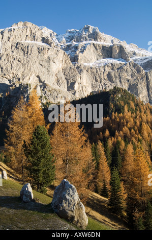 Sella group, Val Gardena, Dolomites, Bolzano province, Trentino-Alto Adige, Italy, Europe Stock Photo