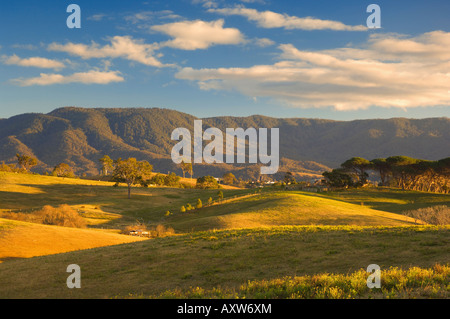 Pasture, Bega, New South Wales, Australia, Pacific Stock Photo