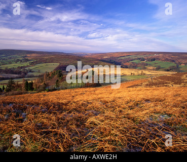 Westerdale from Castleton Rigg, North York Moors National Park, North Yorkshire, England Stock Photo