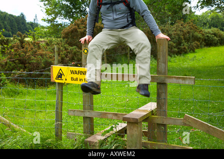 The Cumbria Way. A hiker gets away from a bull by jumping over a stile