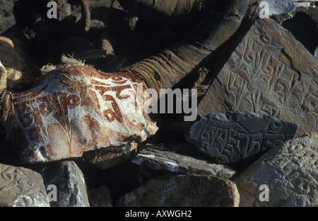 Tibetan Buddhist mani stones and carved yak skull inscribed with prayer Tibetan Plateau Tibet China Stock Photo