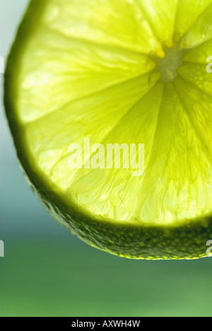 lime fruit (Citrus aurantifolia), Slice of Lime Stock Photo