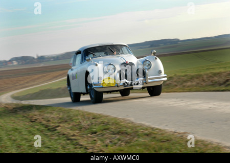 white Jaguar XK 150 FHC at speed at classic car rally on tarmac road International Horneland Rally Netherlands Stock Photo