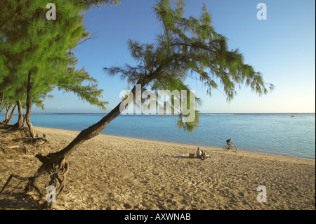 Beach of Etang Salé in Reunion island. Stock Photo