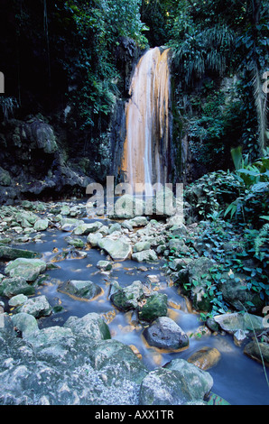 The Diamond Waterfalls, Diamond Botanical Gardens, Soufriere, island of St. Lucia, Windward Islands, West Indies, Caribbean Stock Photo