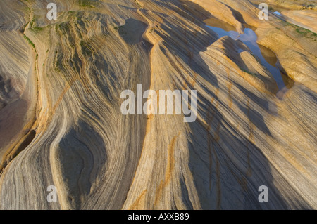 Sandstone and mudstone inclined strata exposed on the shore at Spittal Northumberland UK and eroded by the sea Stock Photo