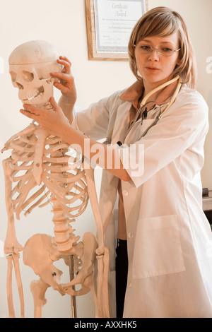 Female chiropractor uses a skeleton to teach a patient about the spine and bone structure. Stock Photo