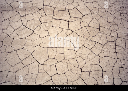 Patterns in mud cracks in drought area Stock Photo