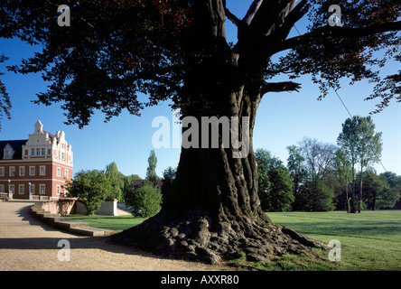 Bad Muskau, Landschaftspark (Park Muzakowski), Blutbuche und Schloßrampe Stock Photo