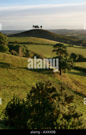 View towards Colmers Hill Bridport Dorset from Quarry Hill Stock Photo