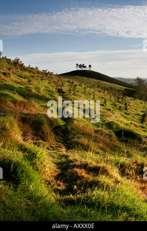 View towards Colmers Hill Bridport Dorset from Quarry Hill Stock Photo