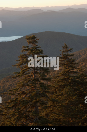 Sunrise from Clingmans Dome in the Great Smoky Mountains National Park Stock Photo