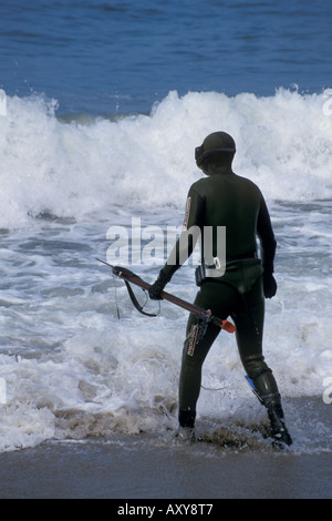 https://l450v.alamy.com/450v/axy8t7/spear-fishing-diver-in-wetsuit-enters-ocean-water-waves-at-point-dume-axy8t7.jpg
