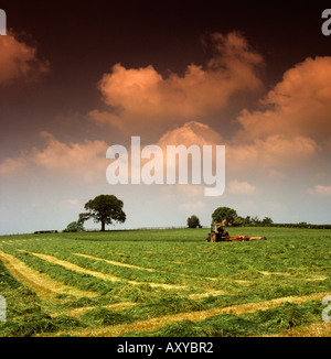 UK Cheshire turning hay with tractor near Malpas Stock Photo